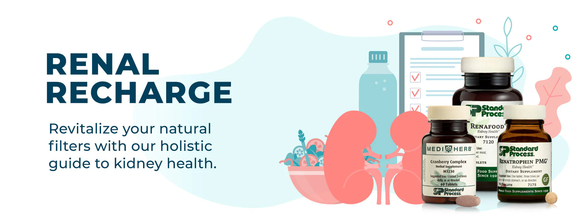 Renal Recharge - Revitalize your Kidneys